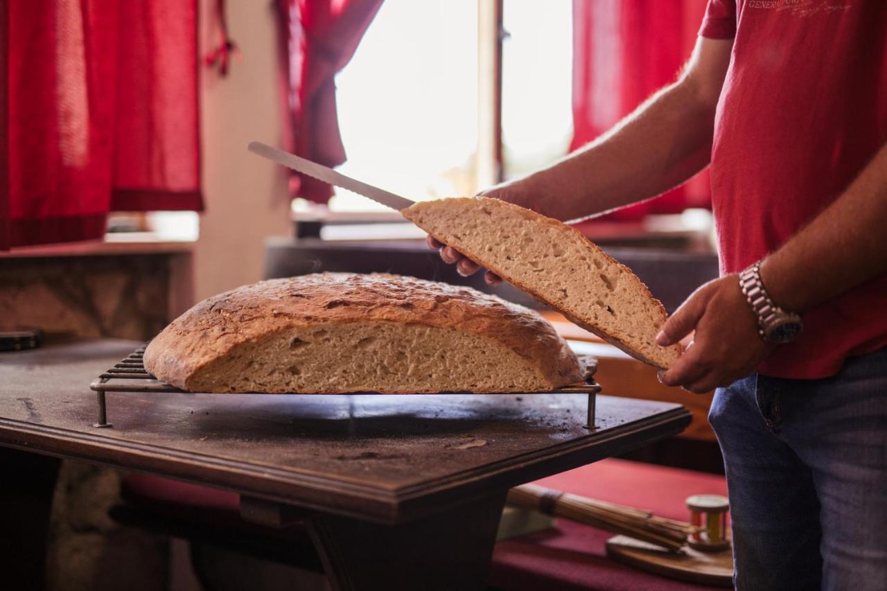Bed&Breakfast Agroturizam Antunovic Kuna Pelješka Exteriör bild